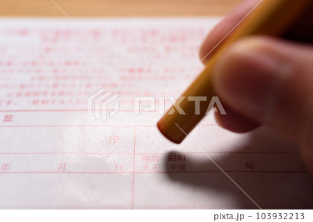 公的な書類にハンコを持つ手　捺印　実印 103932213