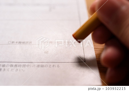 公的な書類にハンコを持つ手 捺印 実印 公的な書類にハンコを持つ手 捺印 実印 103932215