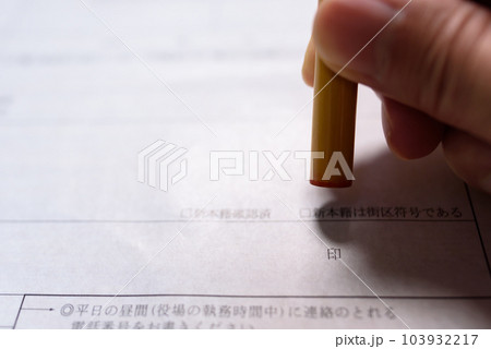 公的な書類にハンコを持つ手　捺印　実印 103932217