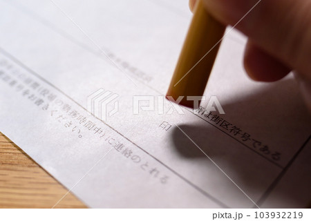 公的な書類にハンコを持つ手　捺印　実印　トリミングアップ 103932219