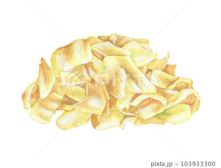 Pickled Chinese cabbage salad. Watercolor illustration. Asian food side dish of fermented vegetables.Traditional Japanese cuisine.Clip art isolated on a white background. Hand drawn canned sauerkraut 103933300