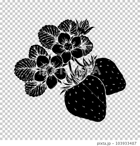 草莓花果(單品)/剪影 草莓花果(單品)/剪影 103933487