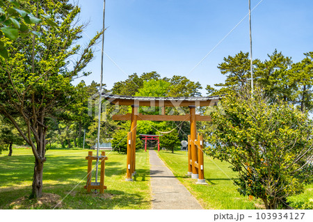 椿神社　椿山海岸　夏泊半島北端　夏泊ホタテライン 103934127