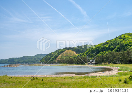 椿山海岸 夏泊半島北端 夏泊ホタテライン 椿(ヤブツバキ)が自生する北限地帯 椿山海岸 夏泊半島北端 夏泊ホタテライン 椿(ヤブツバキ)が自生する北限地帯 103934135
