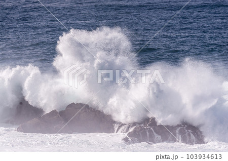 The Pacific Coast The Pacific Coast 103934613
