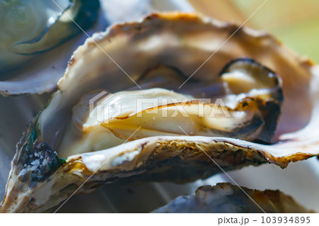 【イメージ素材】焼き牡蠣（宮城県松島） 103934895
