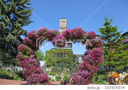北海道札幌市の「白い恋人パーク」 庭園の花のハート 北海道札幌市の「白い恋人パーク」 庭園の花のハート 103935034