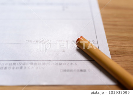 公的な書類とハンコ　捺印　実印 103935099
