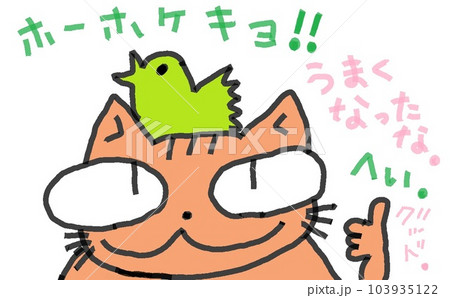 目が大きい猫とうぐいす 目が大きい猫とうぐいす 103935122