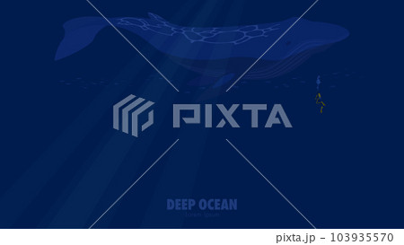 深い海の中を泳ぐシロナガスクジラとダイバーのイラスト 深い海の中を泳ぐシロナガスクジラとダイバーのイラスト 103935570