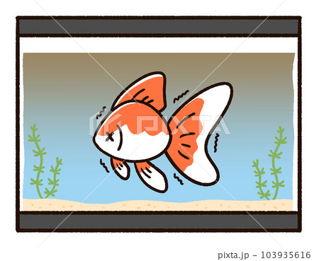 水が汚れている水槽と金魚 103935616