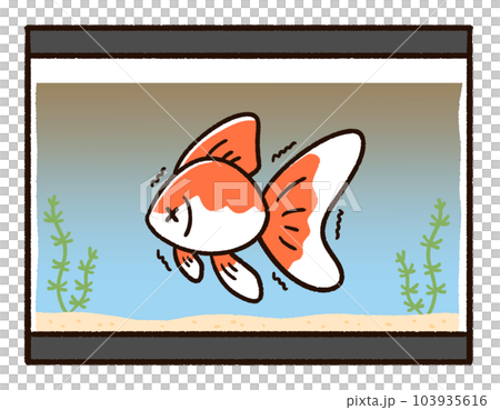 水が汚れている水槽と金魚 103935616