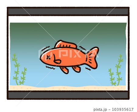 水が汚れている水槽と金魚 103935617