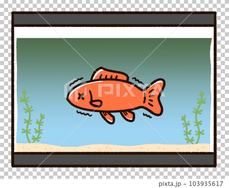 水が汚れている水槽と金魚 103935617