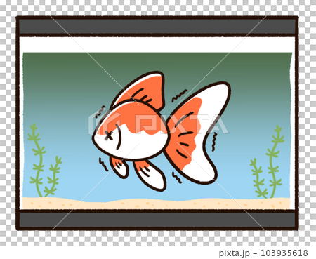水が汚れている水槽と金魚 103935618
