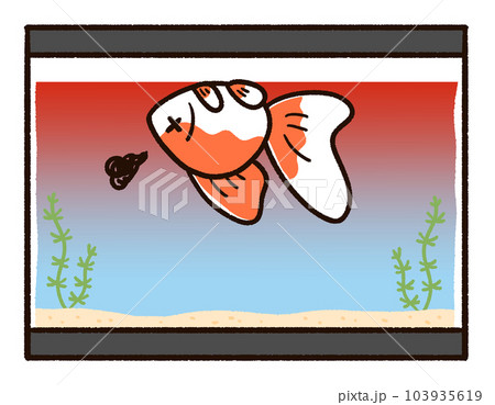 高温になった水槽と死んだ金魚 103935619