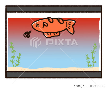 高温になった水槽と死んだ金魚 103935620