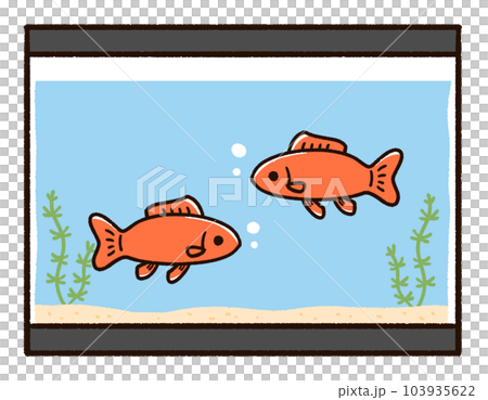 Water tank and goldfish Wakin Water tank and goldfish Wakin 103935622