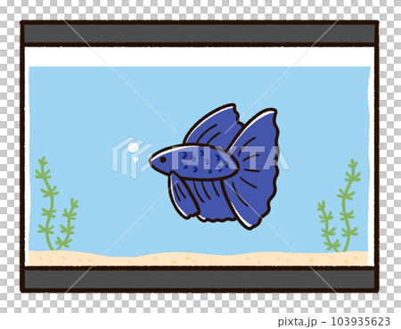 熱帯魚のベタと水槽 103935623