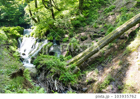 白糸の滝 白糸の滝 103935762
