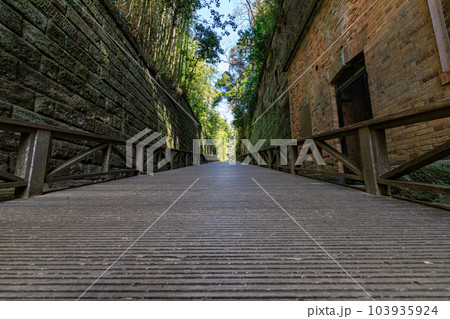 猿島要塞の切通し 103935924