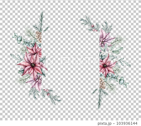Christmas frame of red poinsettia flower, pine cone, snowberry, waxberry, or ghostberry and emerald spruce branch, pine twig, eucalyptus, evergreen tree, fir, cedar. Hand painted watercolor flower 103936144