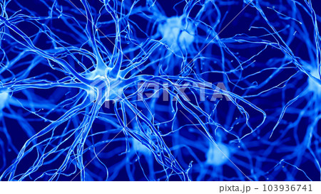 AI生成画像/神経細胞を電子顕微鏡で見た風のイラスト C2 AI生成画像/神経細胞を電子顕微鏡で見た風のイラスト C2 103936741