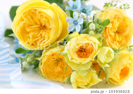 黄色のバラの花束 黄色のバラの花束 103936828