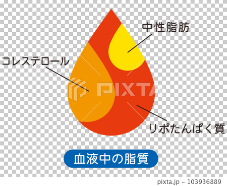 血液中の脂質　説明図 103936889