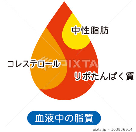 血液中の脂質 説明図 血液中の脂質 説明図 103936914