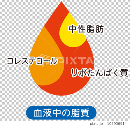 血液中の脂質 説明図 血液中の脂質 説明図 103936914