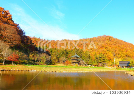 安久津八幡神社 紅葉 黄葉 安久津八幡神社 紅葉 黄葉 103936934