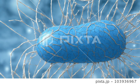 AI生成画像/神経細胞を電子顕微鏡で見た風のイラスト B3 AI生成画像/神経細胞を電子顕微鏡で見た風のイラスト B3 103936967
