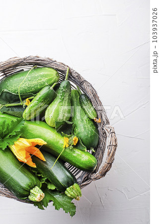 Vegetable crops 103937026