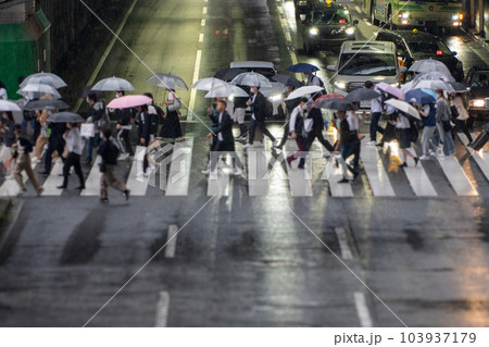 雨天 横断歩道イメージ 雨天 横断歩道イメージ 103937179
