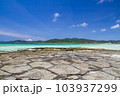 久米島町奥武島の畳石 103937299