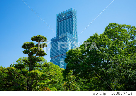 あべのハルカスと青空　若葉に新緑 103937413