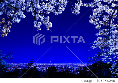 夜桜と大阪の街、宝塚市の中山桜台公園より、4月2日、日本 夜桜と大阪の街、宝塚市の中山桜台公園より、4月2日、日本 103938046