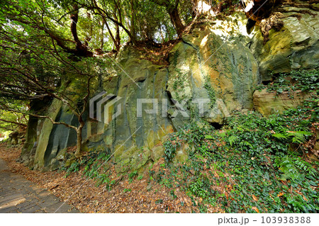 It is a beautiful scenery of Andeok Valley, a famous tourist attraction in Jeju Island. It is a beautiful scenery of Andeok Valley, a famous tourist attraction in Jeju Island. 103938388