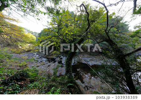 It is a beautiful scenery of Andeok Valley, a famous tourist attraction in Jeju Island. It is a beautiful scenery of Andeok Valley, a famous tourist attraction in Jeju Island. 103938389