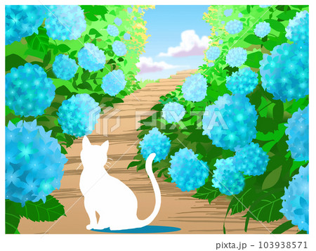 白猫とあじさい 103938571