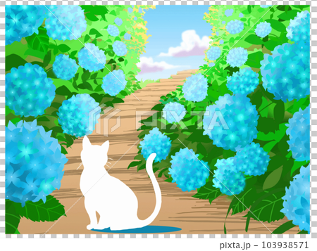 白猫とあじさい 103938571