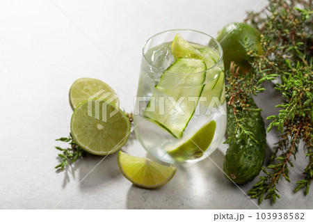 Cocktail Gin-tonic with ice, lime, cucumber, and juniper branches. Cocktail Gin-tonic with ice, lime, cucumber, and juniper branches. 103938582