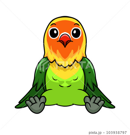 Cute fischer love bird cartoon sitting 103938797