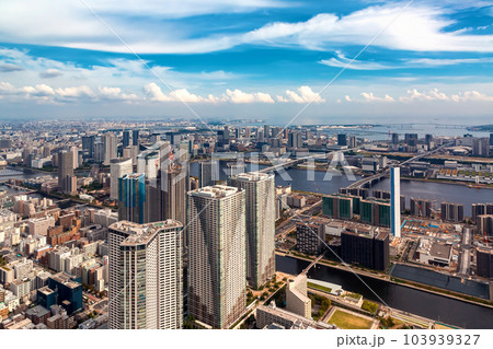 Aerial view of Odaiba Harbor in Tokyo, Japan 103939327