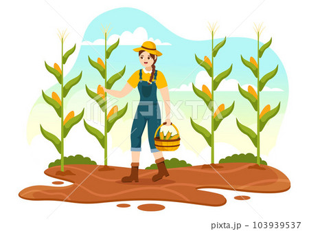 Harvest Season Vector Illustration with Autumn of Pumpkins and Seasonal Agricultural on a Farm in Flat Cartoon Hand Drawn Background Templates 103939537
