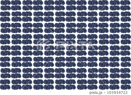 「ブルーベリーの実」八個  背景画像 103939722