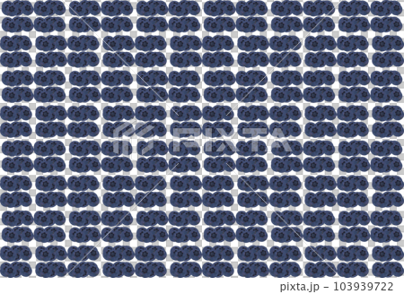 「ブルーベリーの実」八個  背景画像 103939722