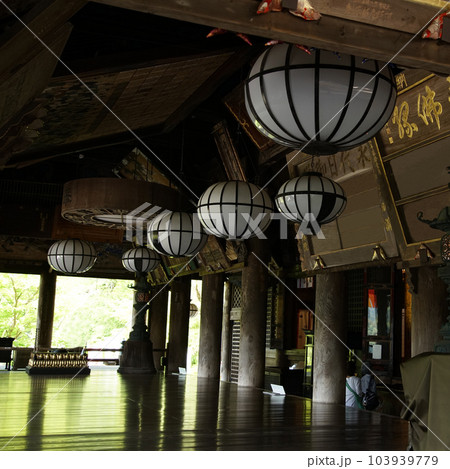 ぼたん　牡丹　長谷寺　奈良県 103939779