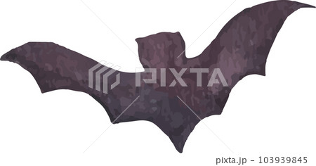 Watercolor painting of Black silhouette of bat. Watercolor painting of Black silhouette of bat. 103939845